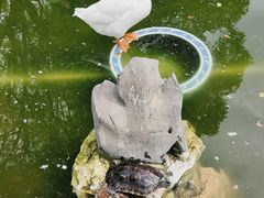 -龙华寺