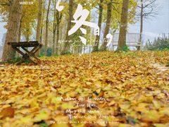 -花开海上生态园