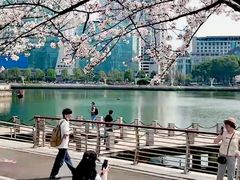 -西北湖绿化广场