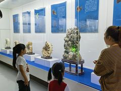 -贝壳王国博物馆