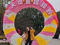 -南山植物园