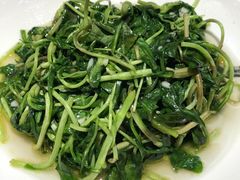 清炒马兰菜-鸿运楼·舌尖上的徽菜