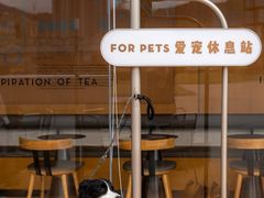 -喜茶(珠海华发商都店)
