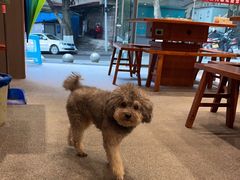 -安胖老火锅(两路口店)