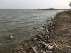 -天津东丽湖风景区