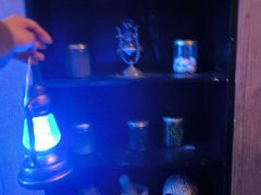 -逃脱反斗城沉浸剧情密室(北京路店)