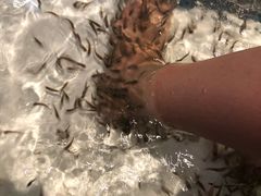 -水晶之星洗浴温泉汗蒸