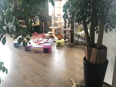 -东方名猫馆·英短金渐层布偶猫舍(环线广场1号楼店)