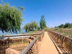 -呈贡滇池生态湿地公园