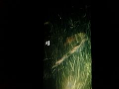 android_upload_pic-佳兆业国际影城(鞍山店)