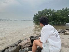 -宝安西湾红树林湿地公园