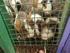 -北京野生动物园