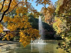 -上海共青森林公园