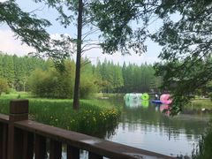 -黄海国家森林公园