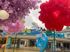 -海合安成都极地海洋公园
