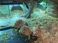 -暹罗海洋世界