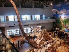 -自贡恐龙博物馆