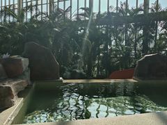 -中家鑫园温泉酒店鑫悦汤泉