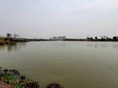 -澹台湖公园