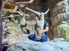 -迪拜水族馆及水下动物园