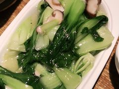 香菇炒菜心-渝信川菜 · 川味家常菜(长安店)