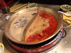 -羊大爷涮肉(亮马桥店)