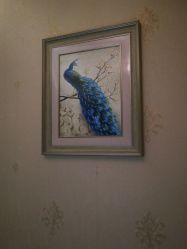 -源素美容养生会所