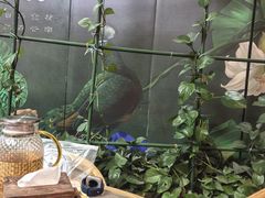-云海肴·汽锅鸡·云南菜(广安门天虹店)