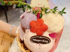DIMOO华夫筒花意款-哈根达斯(深圳海岸城店)
