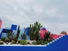 -漳州滨海火山岛自然生态风景区