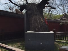 -天宁寺