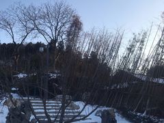 -第一山景区