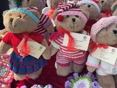 -上海英国外籍人员子女学校(浦西校区)