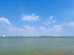 -大湾区中央湿地公园