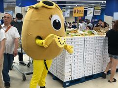 -盒马X会员店(上海森兰商都店)