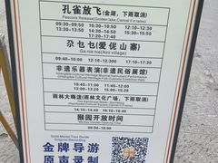-西双版纳原始森林公园