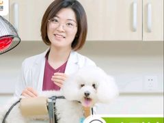 -美联众合爱康动物医院•复杂内科•肿瘤科•牙科•腔镜诊疗中心