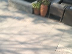 -萬國春·中菜馆(颐和公馆店)