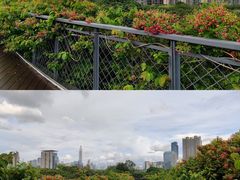 -香蜜公园