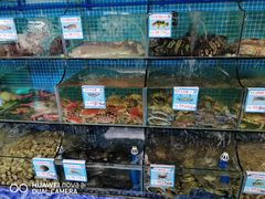 水产区-范饭椰林川湘味海鲜·椰子鸡(三亚湾椰梦长廊店)
