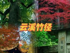 -云栖竹径