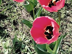 -长春公园(普阳街道)