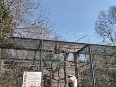 -莫朗核桃饼(虹泉路店)