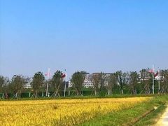 -光明小镇欢乐田园