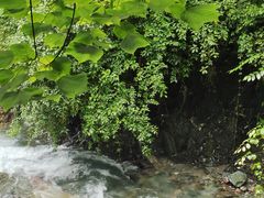 -西岭雪山大飞水景区
