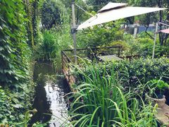 -谷咖啡·鲜花绿植花园餐厅