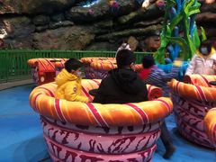 -青岛嘉年华主题乐园