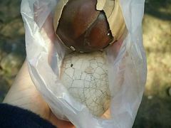 -金盆阿嬷香菇茶叶蛋(玄光店)
