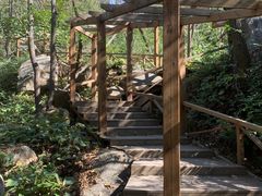 -大岭沟猕猴桃谷风景区