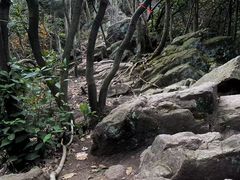 -午潮山国家森林公园